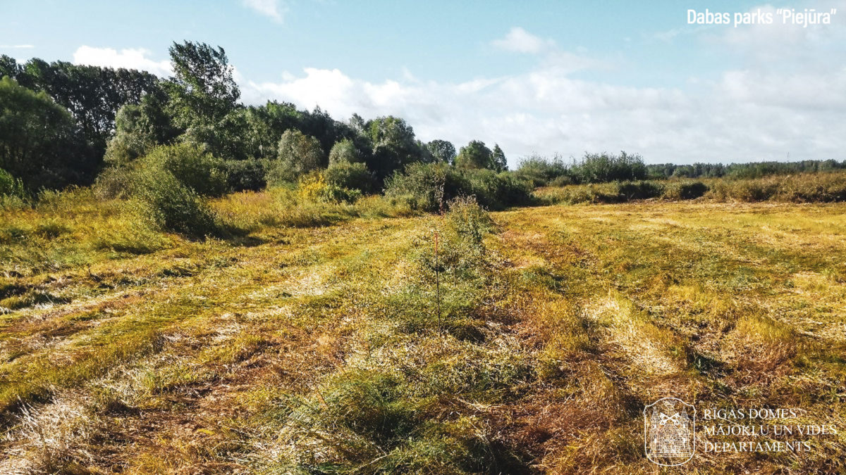 Dabas parks "Piejūra"