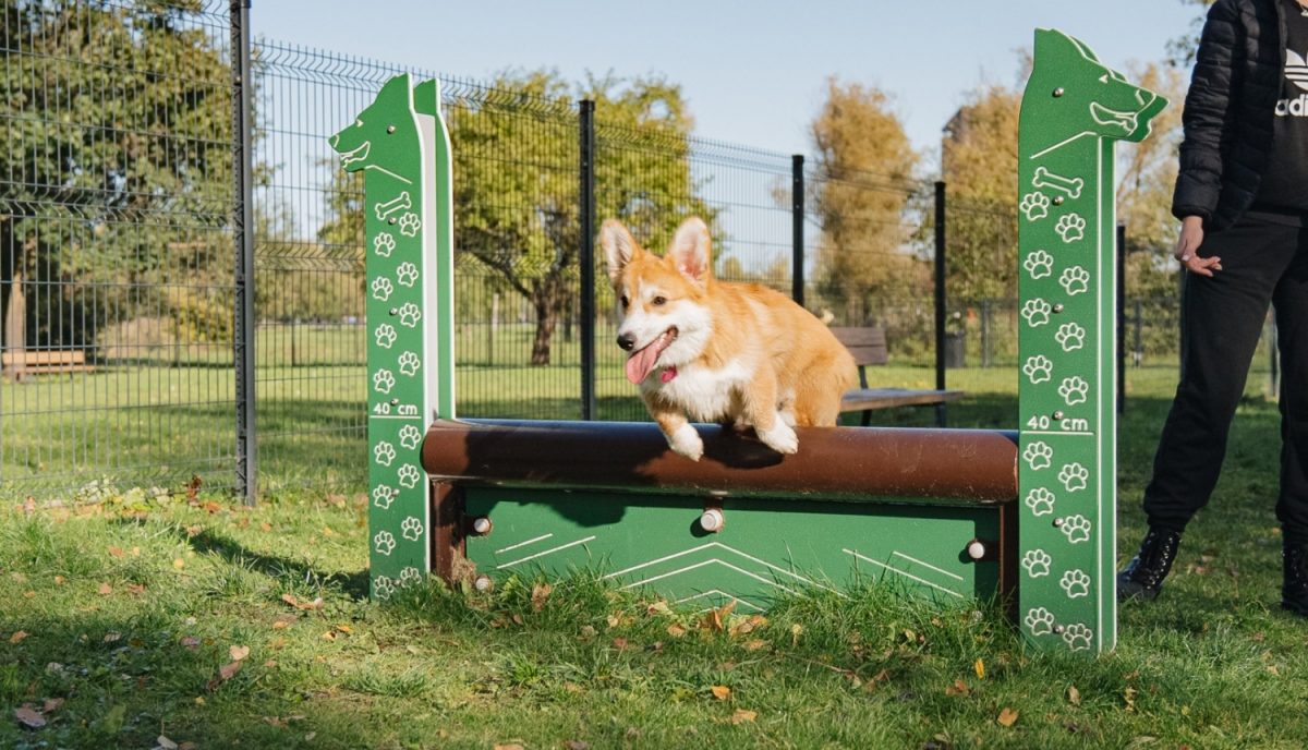 Lucavsalas suņu laukums