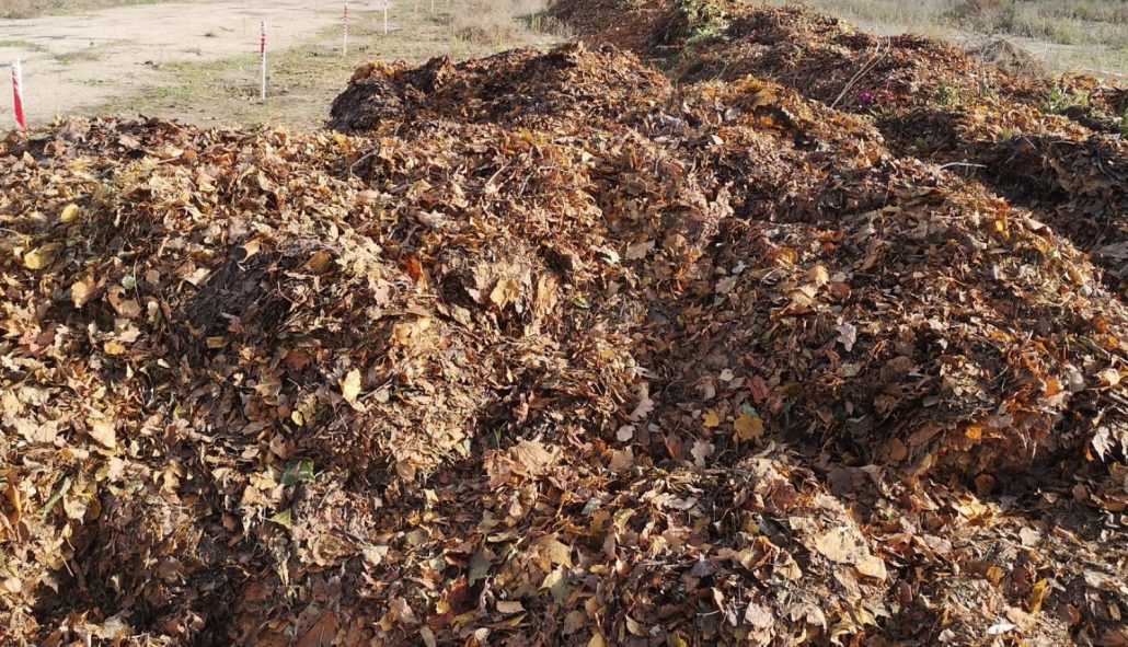 Lapu nodošanas punkti Rīgā – pašvaldība aicina iesaistīties