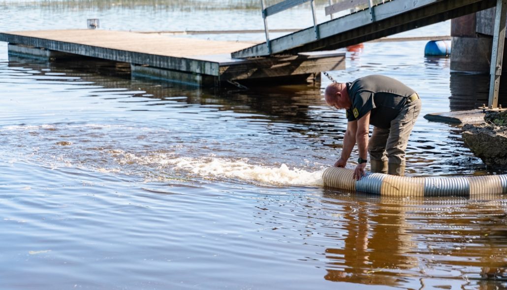 Zandarta mazuļu ielaišana ar Rīgas pašvaldības un BIOR atbalstu