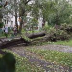 Rīgas pašvaldība vētras zaudējumi pēc vētras Priska sasniedz aptuveni 1,3 miljonus eiro. Pašvaldības dienesti turpina kritušo un bīstamo koku novākšanu, izglītības iestāžu teritoriju sakopšanu, infrastruktūras atjaunošanu un citu postījumu novēršanu. Vētras sekas skārušas parkus, mežus, kapsētas, peldvietas, sabiedriskā transporta infrastruktūru, siltumtīklus un pašvaldības ēkas visā Rīgā.