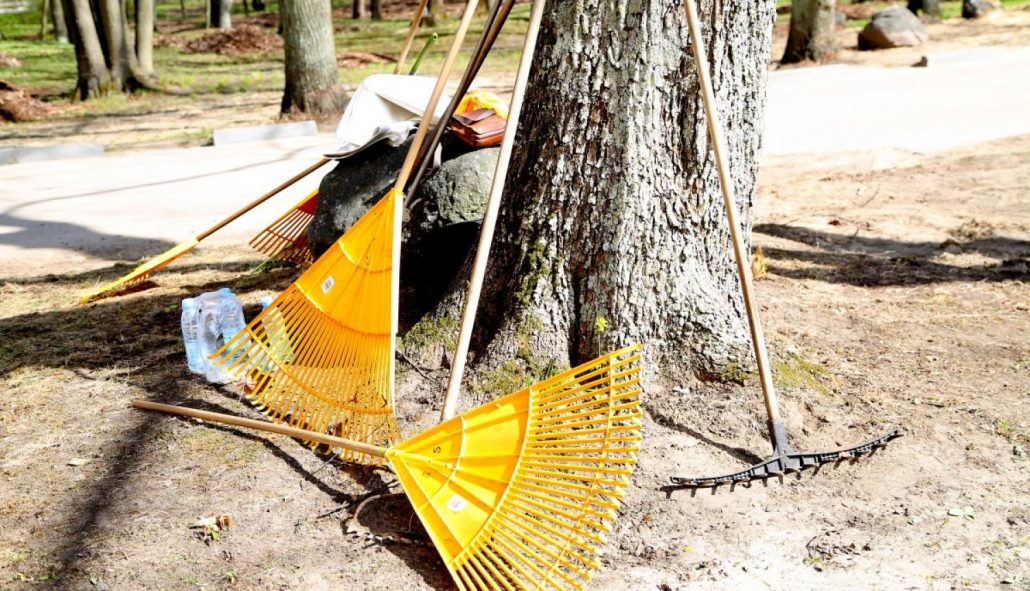 Lielā talka: pie koka stumbra atstutēti grābekļi, notiek sagatavošanas darbi
