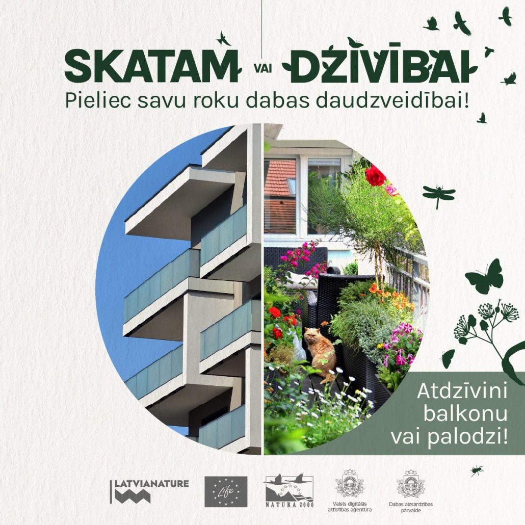 Balkons skatam vai dzīvībai