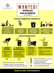 Spānijas kailgliemežu invazīvās sugas apkarošanas infografika