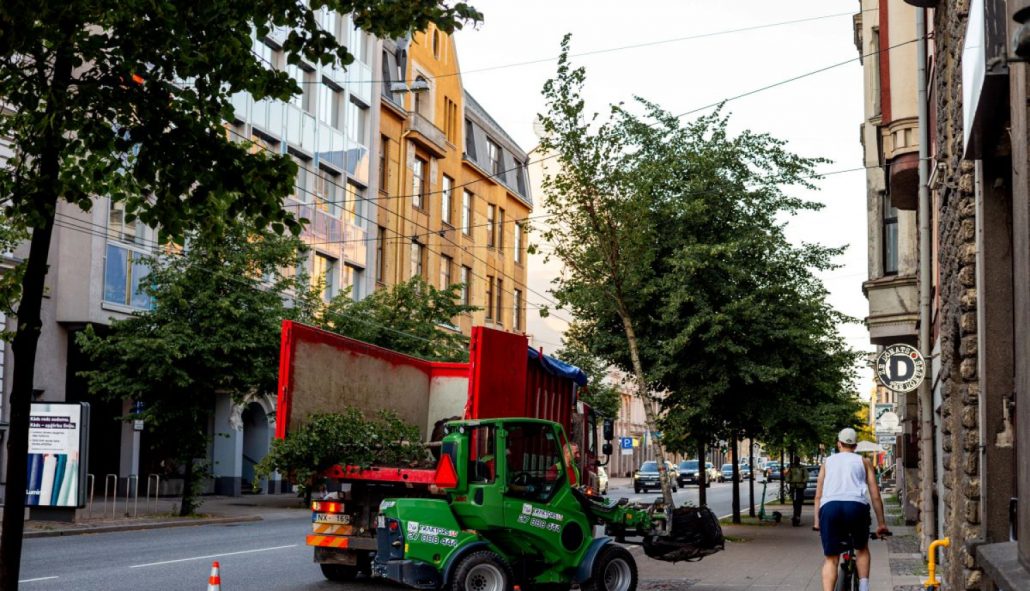 Koku stādīšana Rīgas centrā