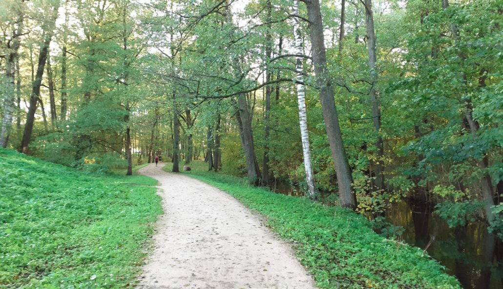 Mārupītes mežaparka infrastruktūras uzlabošana Bieriņos – droša, pieejama un daudzveidīga atpūta Rīgā