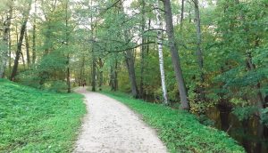 Mārupītes mežaparka infrastruktūras uzlabošana Bieriņos – droša, pieejama un daudzveidīga atpūta Rīgā
