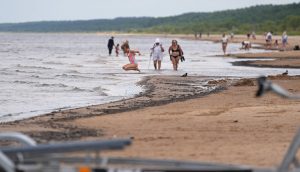 Drošas peldvietas Rīgā ar pārbaudītu ūdens kvalitāti, Vecāķu pludmale