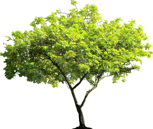 Rīgas valstspilsētas pašvaldības Mājokļu un vides departamenta jaunumi un aktualitātes – informācija un paziņojumi