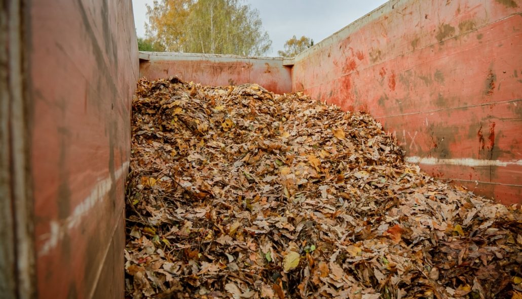 Rīgas iedzīvotāji nodevuši rudens lapas pie nodošanas punkta