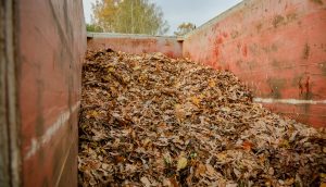 Rīgas iedzīvotāji nodevuši rudens lapas pie nodošanas punkta