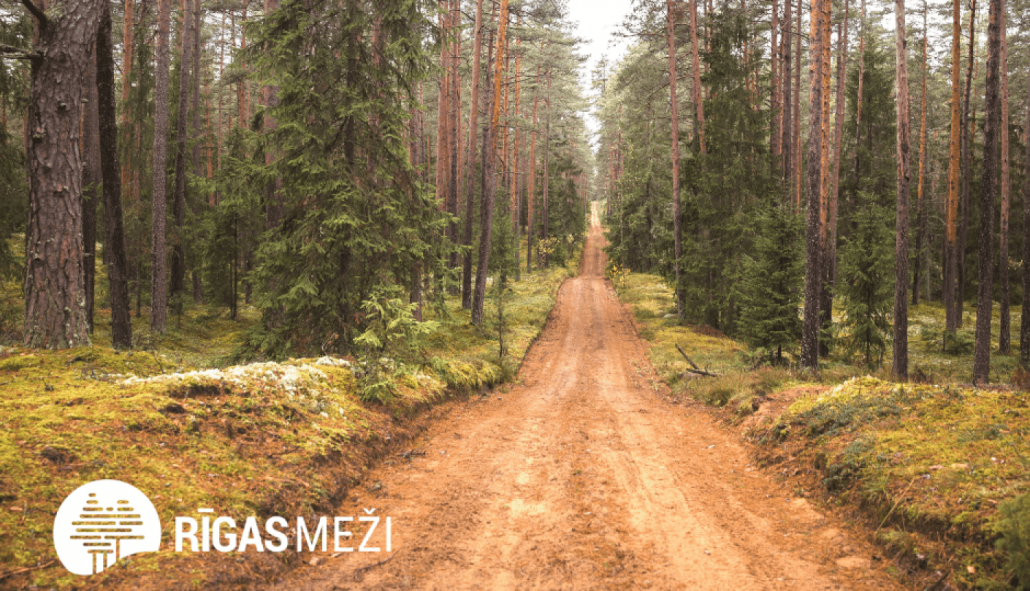 Integrētais Rīgas mežu apsaimniekošanas plāns līdz 2035. gadam