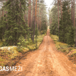 Integrētais Rīgas mežu apsaimniekošanas plāns līdz 2035. gadam