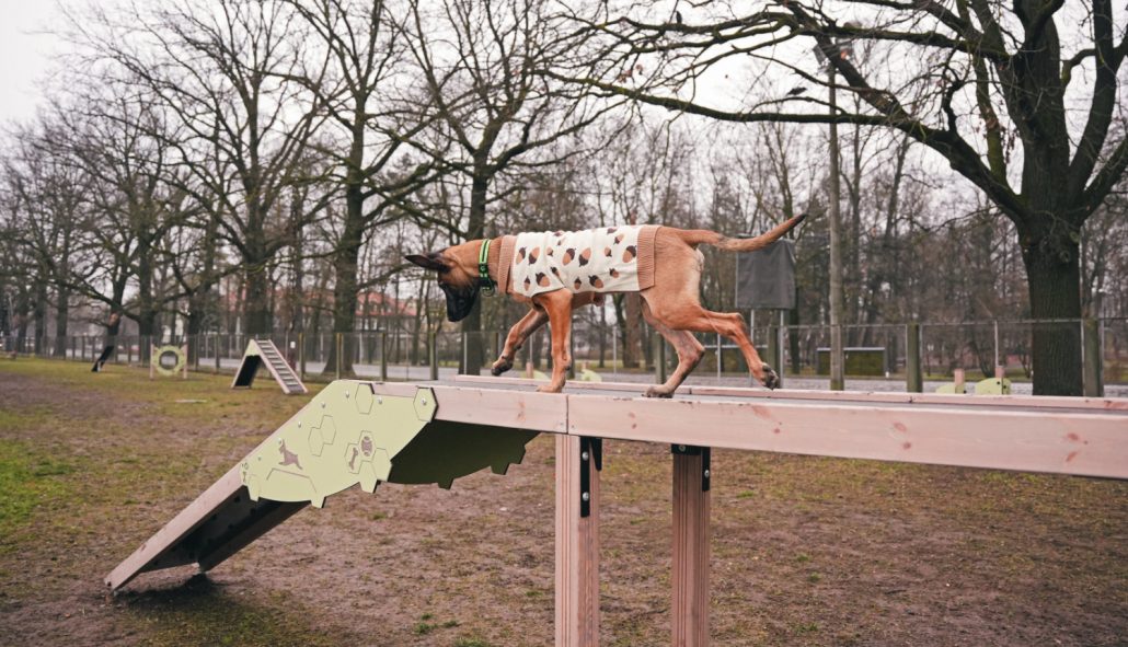 Suņu pastaigu laukums Rīgā Eksporta ielā ar jauniem trenažieriem