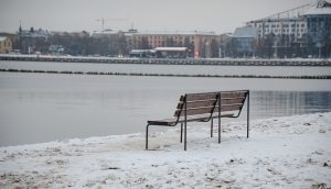 Ziemas peldūdens kvalitāte Rīgā: ziemas peldētāji Lucavsalas līcī; paziņojums par BIOR 6. janvāra paraugu analīzēm, ka ūdens ir labs un peldēties atļauts arī Ķīpsalā, Vakarbuļļos, Vecāķos, Bābelītī un Rumbulā.