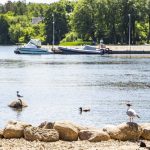 Rīgas peldvietas nokļūšana transports – cilvēki dodas uz pludmali ar velosipēdiem, sabiedrisko transportu un automašīnām, nodrošinot ērtu piekļuvi peldvietām.
