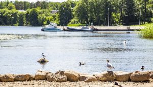 Rīgas peldvietas nokļūšana transports – cilvēki dodas uz pludmali ar velosipēdiem, sabiedrisko transportu un automašīnām, nodrošinot ērtu piekļuvi peldvietām.