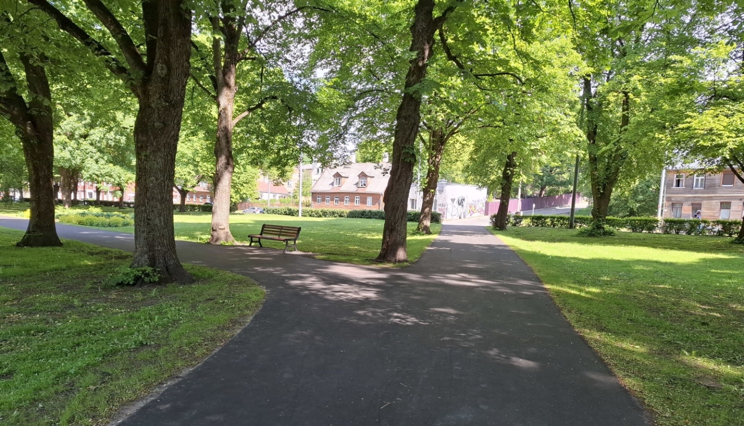 Latgales parka celiņu atjaunošana – atjaunots parka celiņš ar jaunu segumu starp kokiem, nodrošinot ērtu un drošu pārvietošanos apmeklētājiem Rīgas zaļajā teritorijā.