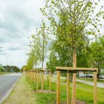 Rīgas iedzīvotāju biedrību kopīga pašvaldības teritorijas sakopšana, veidojot jaunus zālienus un puķu dobes, atjaunojot koku apdobes un savācot atkritumus savā apkaimē