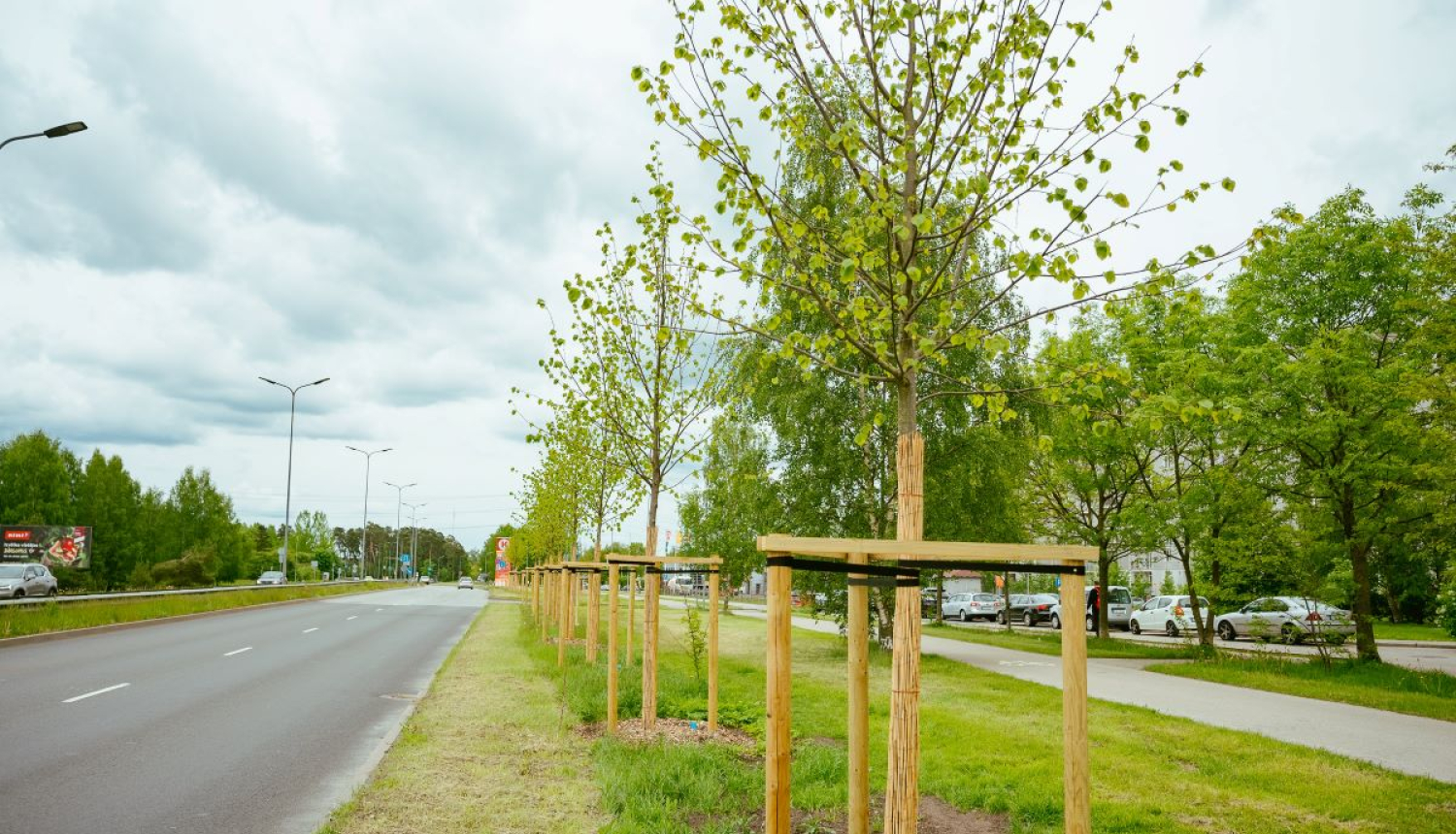 Rīgas iedzīvotāju biedrību kopīga pašvaldības teritorijas sakopšana, veidojot jaunus zālienus un puķu dobes, atjaunojot koku apdobes un savācot atkritumus savā apkaimē