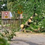 Vētrā nogāzies koks Rīgā, kas aizšķērso publisku teritoriju un kura radītā apdraudējuma novēršanai iedzīvotājiem jāzvana uz 112 vai jāziņo pašvaldībai pa tālruni 1201.