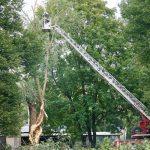 Rīgas pašvaldība vētra Priska seku likvidēšanas darbu laikā. Pašvaldības dienesti novāc nogāztus un bojātus kokus, atbrīvo ielas, parkus, kapsētas un citas teritorijas no vētras radītajiem postījumiem. Vētras Priska radīto seku novēršana Rīgā turpinās vairākas nedēļas, prioritāri likvidējot drošību apdraudošus kokus un zarus.