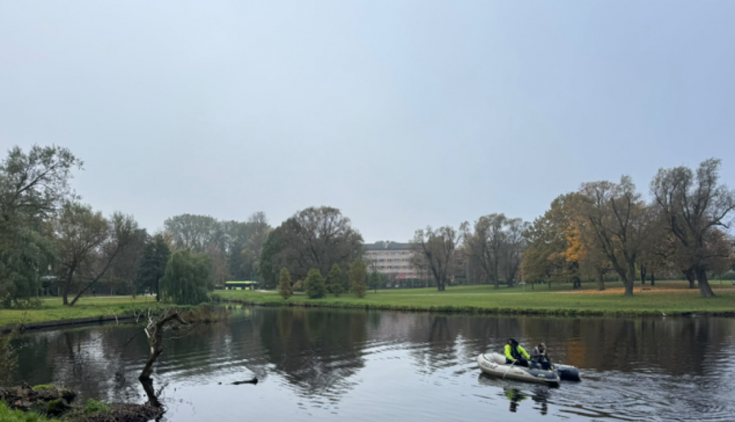 Māras dīķī redzama neliela airu laiva ar diviem cilvēkiem, kas veic ūdenstilpes attīrīšanas darbus. Fonā redzams parks un koki pie ūdens. Māras dīķa attīrīšana ūdensputniem palīdz novērst makšķerauklu un citu priekšmetu radīto apdraudējumu.
