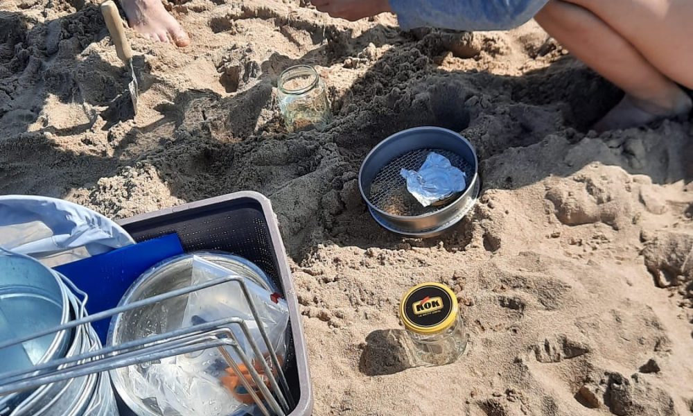 Mikroplastmasas piesārņojums Rīgas līča piekrastes pludmalēs 4