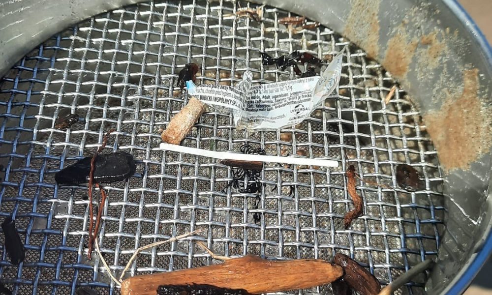 Mikroplastmasas piesārņojums Rīgas līča piekrastes pludmalēs 5